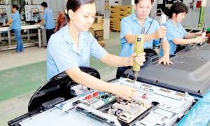 TP. Hồ Chí Minh: 53,55% số cán bộ nữ trong quy hoạch được bố trí, sử dụng